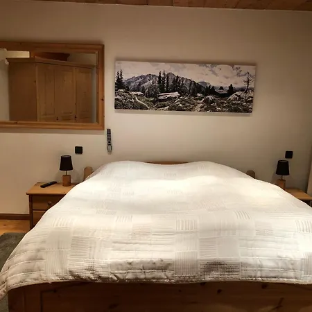 Wunderschoene Am Hahnenkamm Apartment *